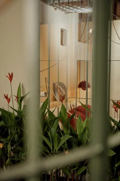 HIDDEN -home- – 照片 6